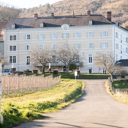 Domaine Agerria Hotel Mauleon-Licharre Exterior photo